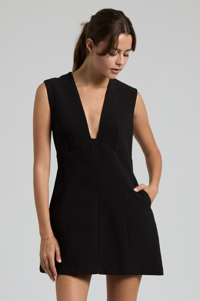 [REORDER] SLEEVELESS PLUNGING V-NECK A-LINE MINI DRESS